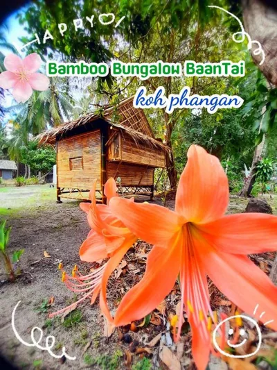Bamboo Bungalow Baan Tai Phangan – Fotos 11